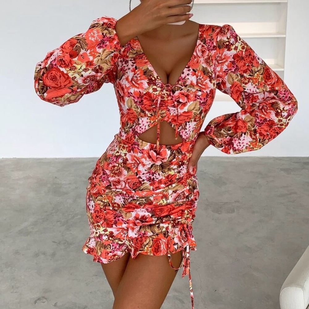 SHEIN Joyfunear V-Neck Drawstring Detail Long Sleeve Women Dress